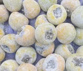 處理後清脆可食用的水柿